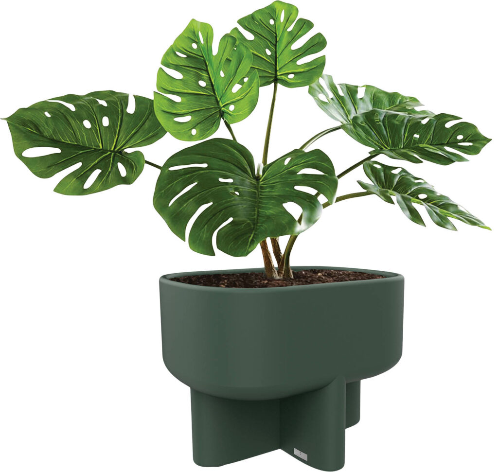 a green planter with a monstera plant