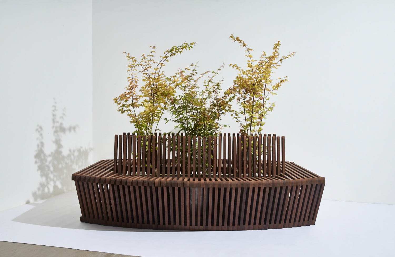 trees coming out of the center of a double-sided, slatted bench