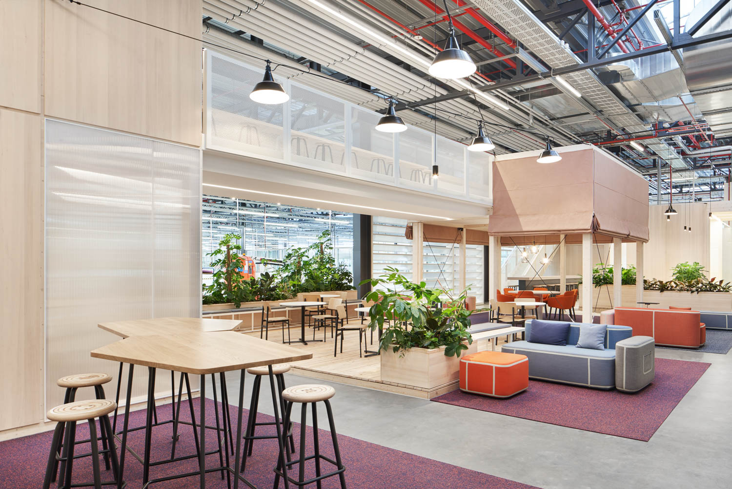 blue and orange Moroso sofas in an office collaborative space