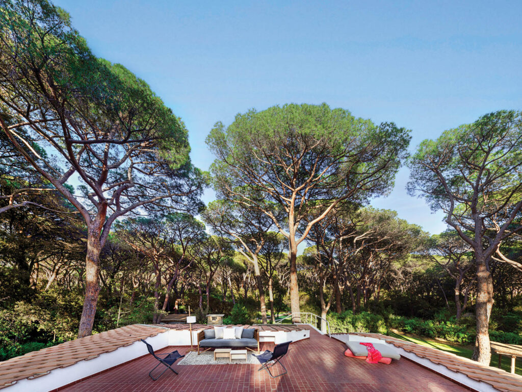 a patio surrounded by leafy trees