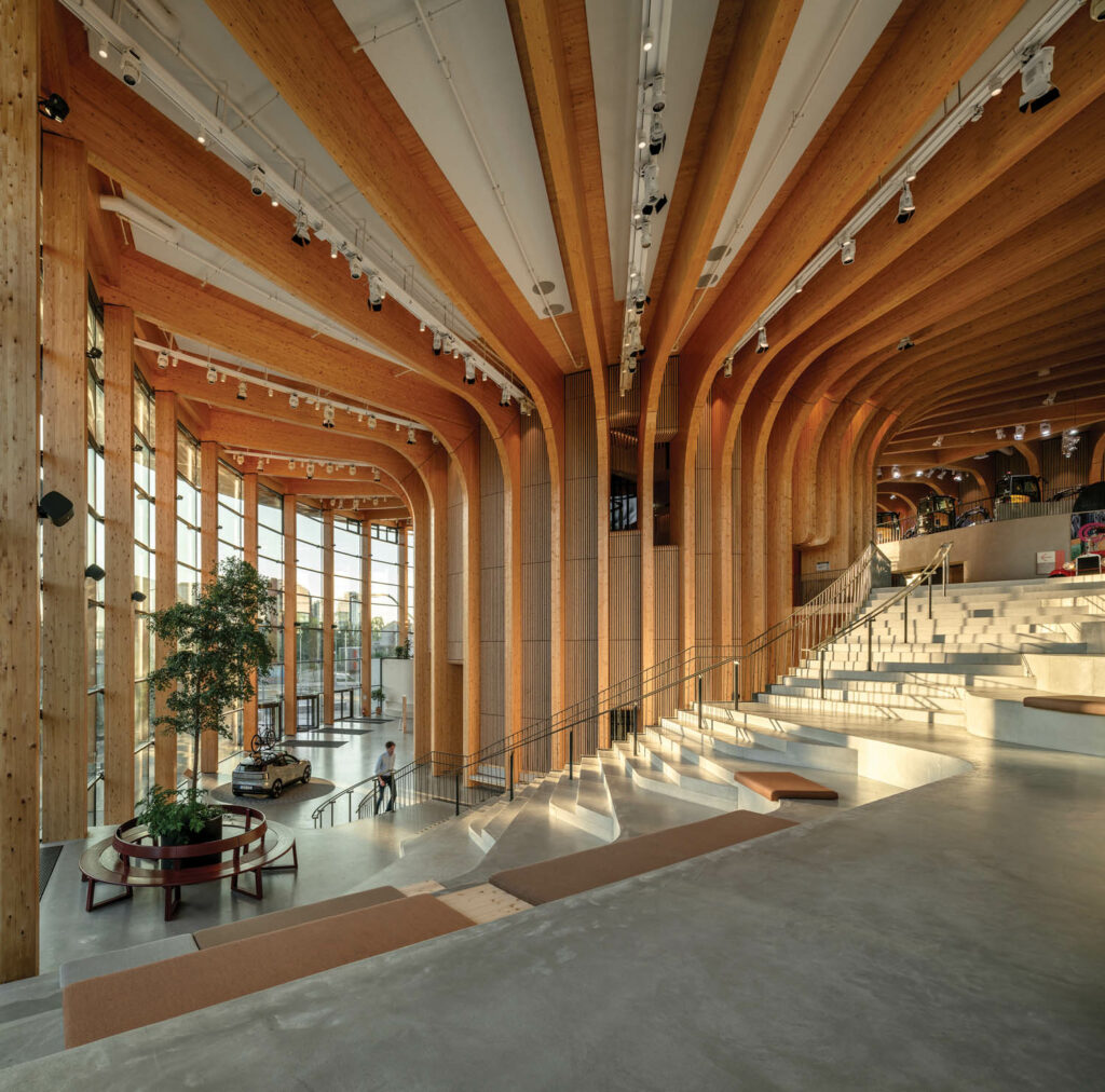 a concrete stair curves around the treelike structure at center