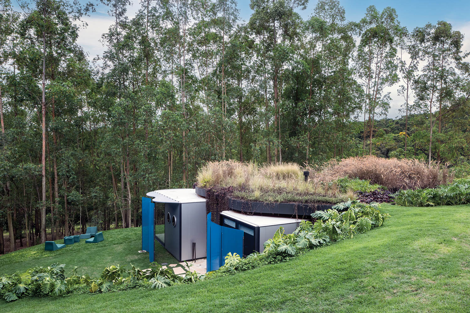 back of the house with blue panels and a lushly planted green roof